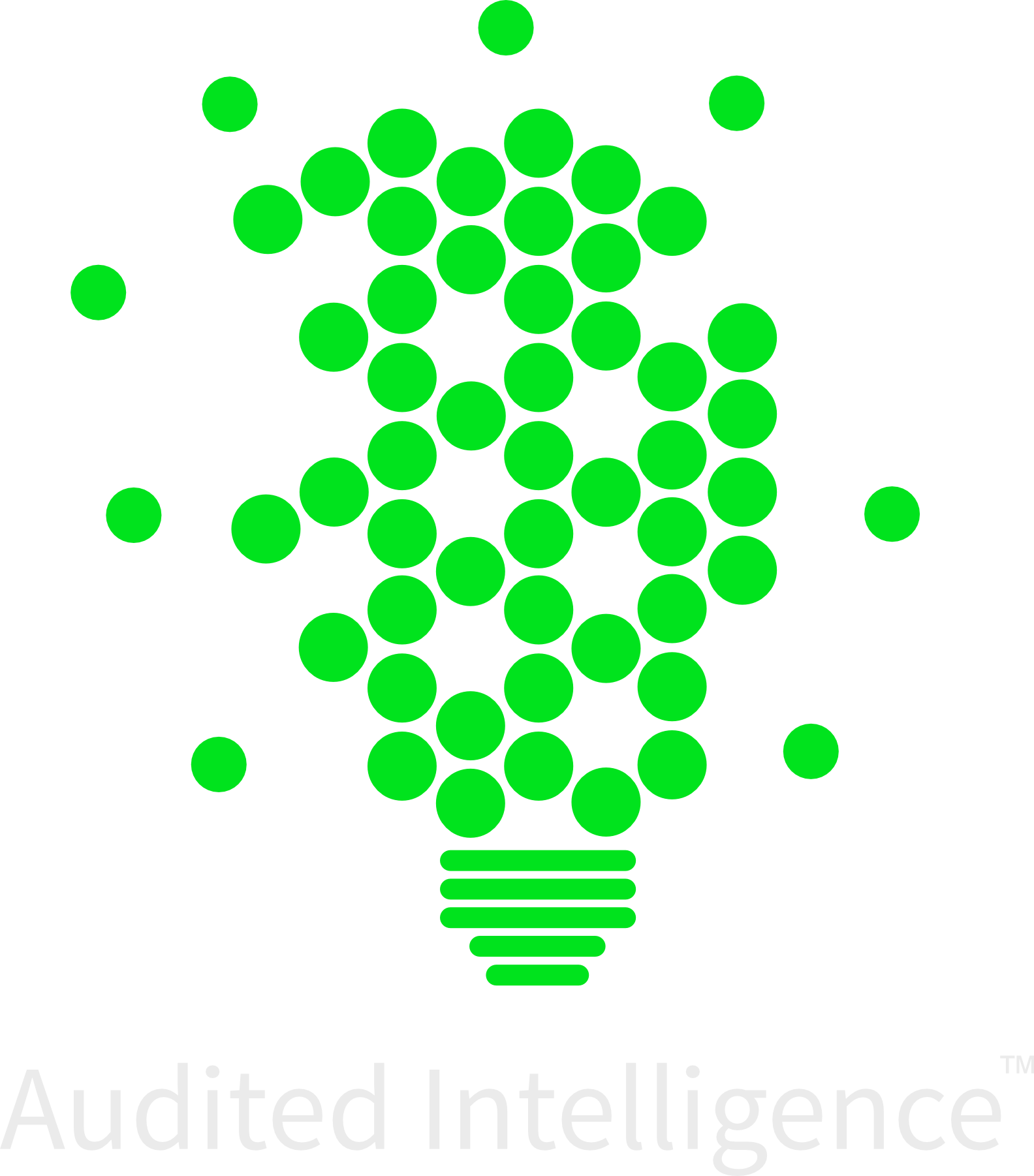 2024-09-10 FP Audited Intelligence lightbulb logo