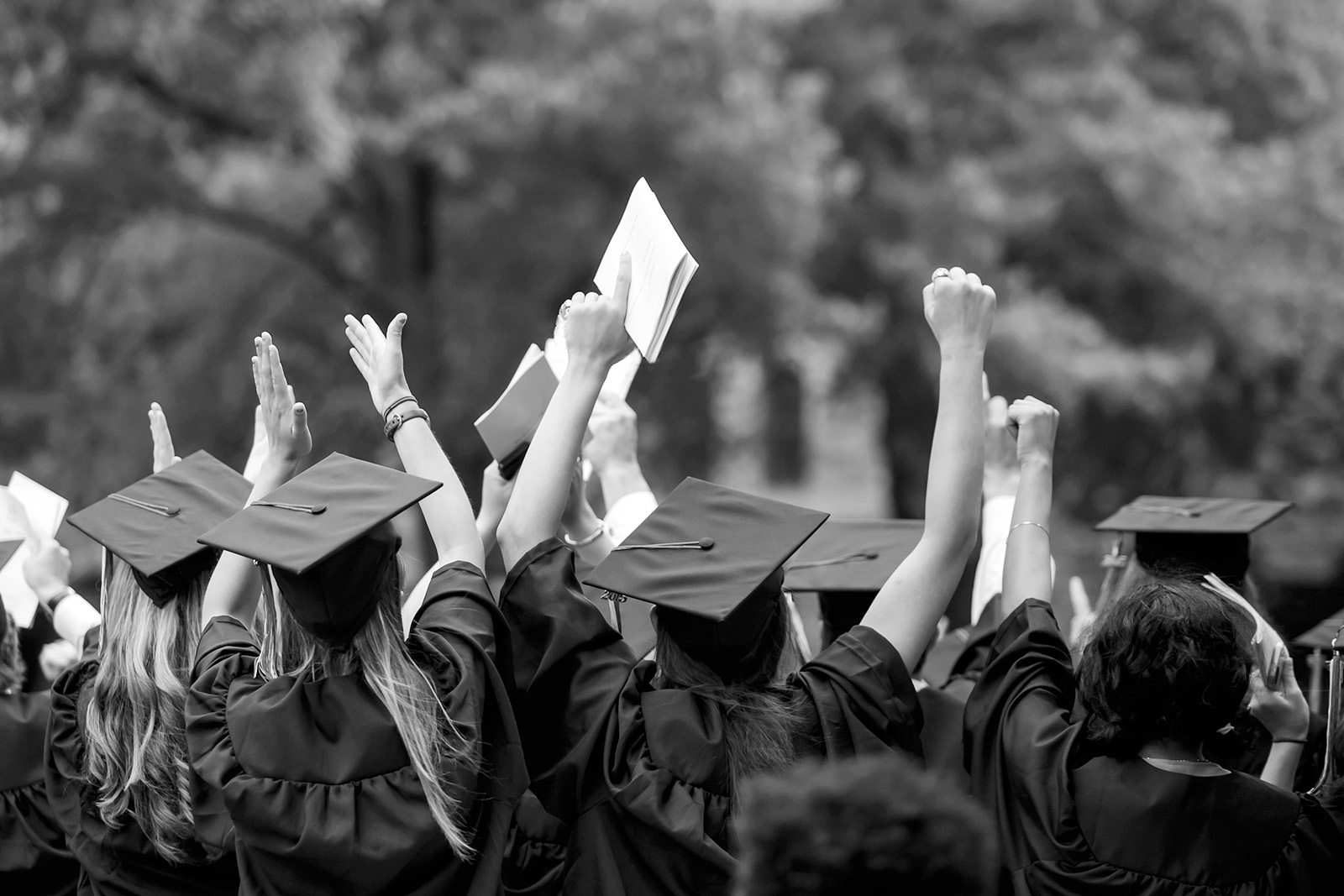 photos of recent ICAEW graduation